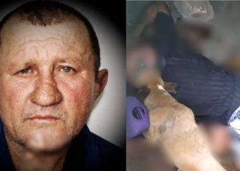 Ozivan Rodrigues, de 62 anos, mais conhecido como o “Velho das Cachorras”, por criar 14 animais em sua. Vídeo chocante