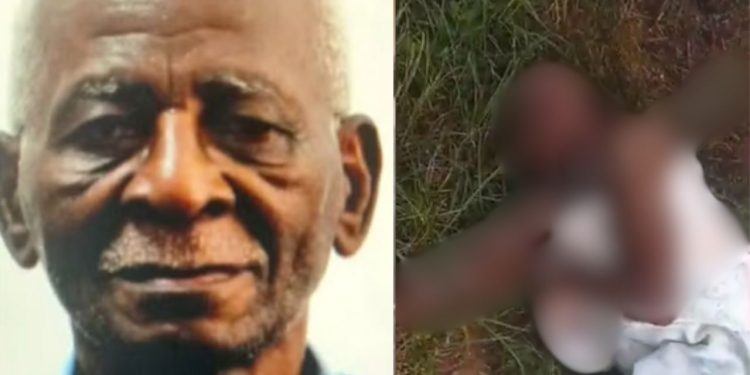 Jamiro Coelho Ferreira de 77 anos morreu após ser atacado por um cachorro da raça pitbull. O caso. Vídeo mostra