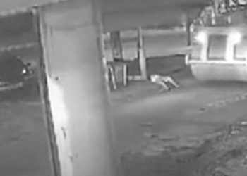 Câmera registra mulher tendo os pés esmagados por um rolo compressor