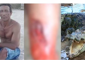 NOW – Fiquem por dentro das notícias do dia.