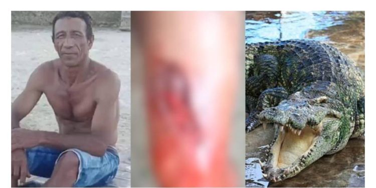 NOW – Fiquem por dentro das notícias do dia.