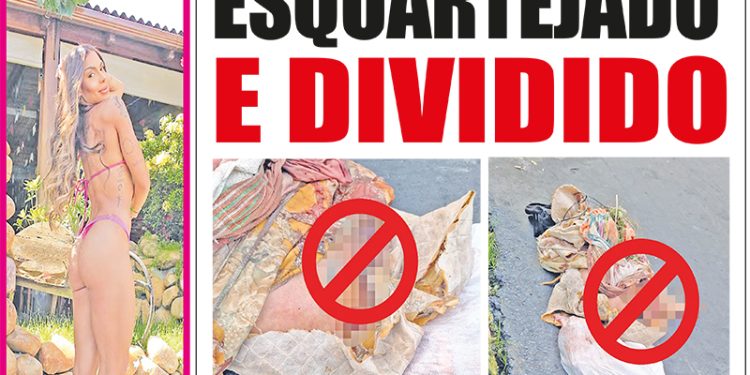 5195 – EDIÇÃO DIGITAL