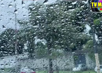 Casal homoafetivo que passava HIV à crianças são soltos em Manaus