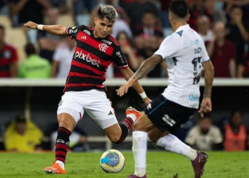 O Campeonato Brasileiro tem um novo líder! Na noite desta quinta-feira (13), o Flamengo venceu o Grêmio. Flamengo