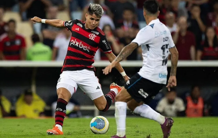 O Campeonato Brasileiro tem um novo líder! Na noite desta quinta-feira (13), o Flamengo venceu o Grêmio. Flamengo