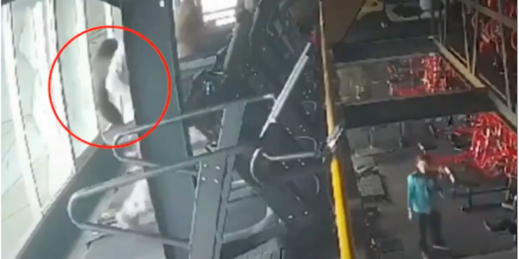 Uma jovem de 22 anos morreu enquanto utilizava a esteira em uma academia na cidade de Pontianak, na. Mulher morre