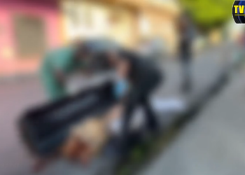 COMEÇOU CEDO – Corpo esquartejado é encontrado em rua no Novo Aleixo