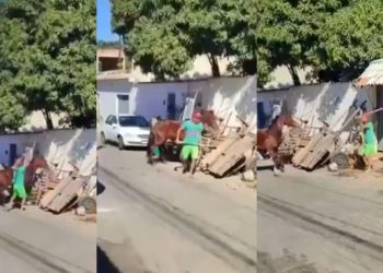 Um carroceiro foi flagrado batendo em um cavalo com uma enxada, na manhã desta quinta-feira (13). O crime. Vídeo