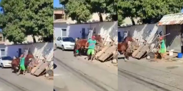 Um carroceiro foi flagrado batendo em um cavalo com uma enxada, na manhã desta quinta-feira (13). O crime. Vídeo