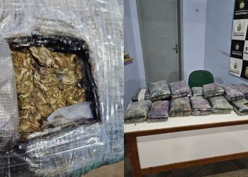 A Polícia Civil do Amazonas (PC-AM), por meio da 55ª Delegacia Interativa de Polícia (DIP) de Fonte Boa. Em Fonte