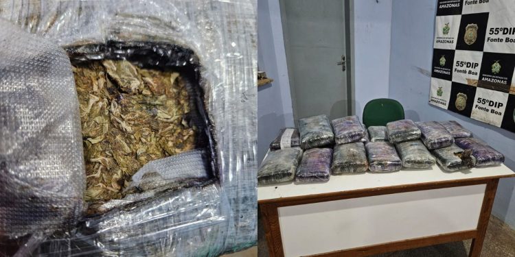 A Polícia Civil do Amazonas (PC-AM), por meio da 55ª Delegacia Interativa de Polícia (DIP) de Fonte Boa. Em Fonte