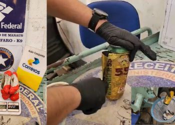 A Equipe K9 da Receita Federal em Manaus em atuação conjunta com os Correios apreendeu skunk oculto. Droga avaliada