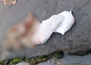 Um homem, ainda não identificado, foi encontrado esquartejado na manhã desta quarta-feira (19), na rua 52. Esquartejado em