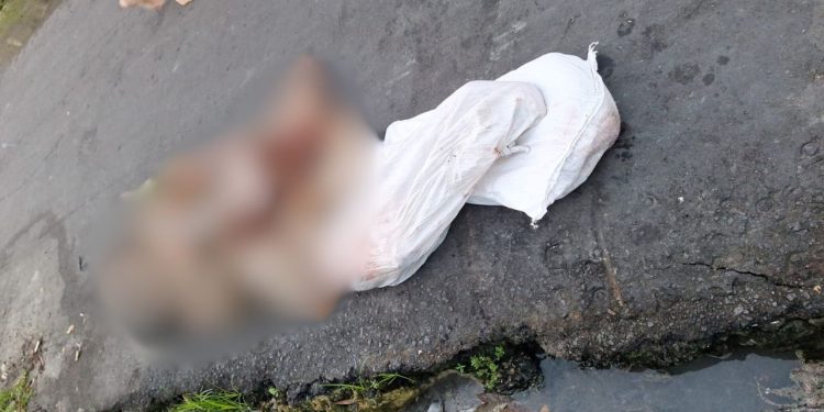 Um homem, ainda não identificado, foi encontrado esquartejado na manhã desta quarta-feira (19), na rua 52. Esquartejado em