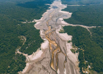 SECA MAIS SEVERA: Amazonas deve entrar em estado de emergência