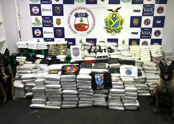 As Forças de Segurança embarcadas na Base Fluvial Arpão 1 registraram, nesta terça-feira (19/06), dano. Grupo de