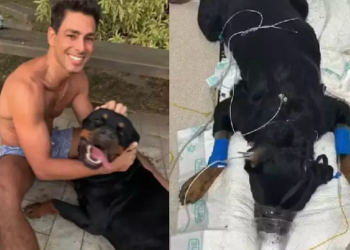 O ator Cauã Reymond recorreu às redes sociais nesta sábado, 8, para lamentar a morte de seu cachorro de. Cachorro de