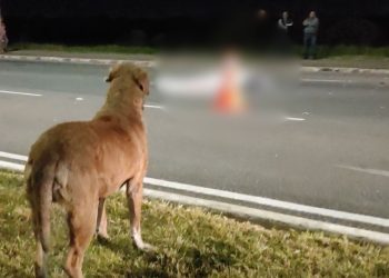 Um homem, de 40 anos, morreu após ser atropelado na noite de segunda-feira (10) enquanto caminhava, Vídeo comovente