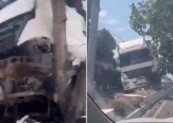 VEJA VÍDEO: Carreta perde controle e bate contra árvore no Japiim