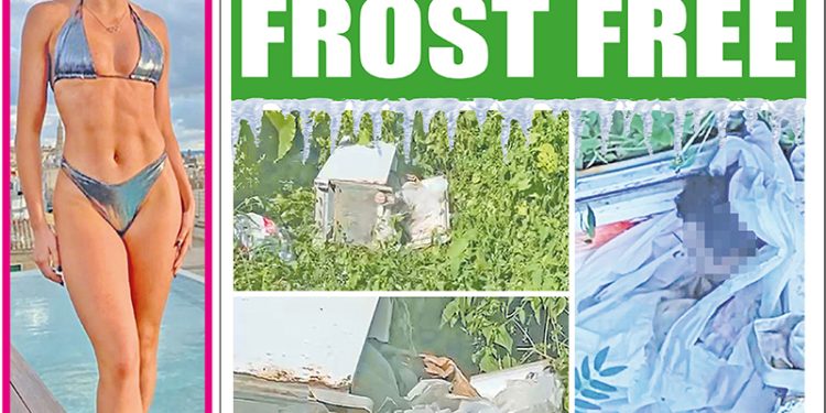 5220 – EDIÇÃO DIGITAL