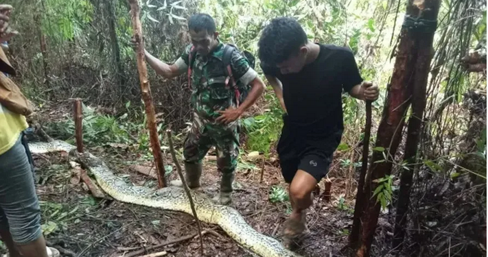 Uma mulher identificada por Siriati, de36 anos, que estava desaparecida, foi encontrada morta dentro da. Vídeo:
