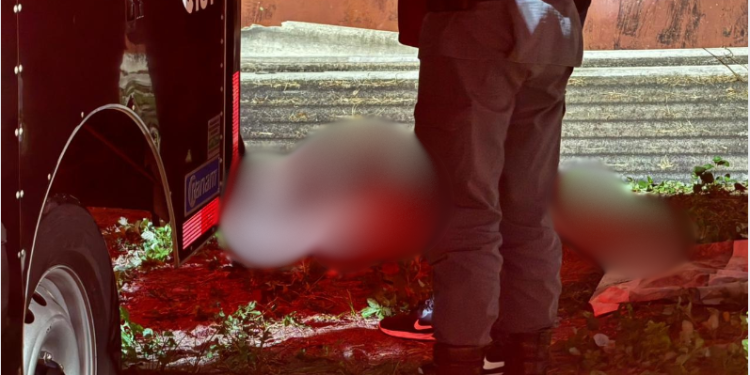 O corpo de um homem, ainda não identificado, foi encontrado na noite de domingo (7), na rua Pintassilgo. Torturado