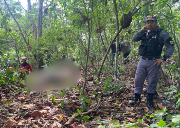 O corpo de um homem, ainda não identificado, foi encontrado em avançado estado de decomposição em uma. Em decomposição