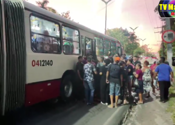 Assaltantes tocam o terror no 652 no Japiim em Manaus