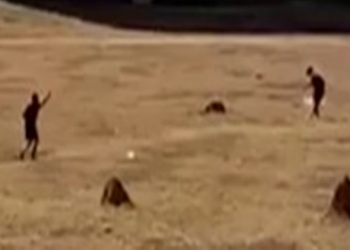 Um adolescente de 17 anos atirou no próprio pai de 39 anos, para defender a mãe que sofria agressão. Adolescente