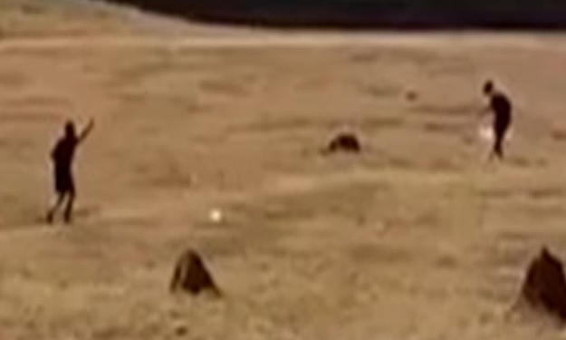 Um adolescente de 17 anos atirou no próprio pai de 39 anos, para defender a mãe que sofria agressão. Adolescente