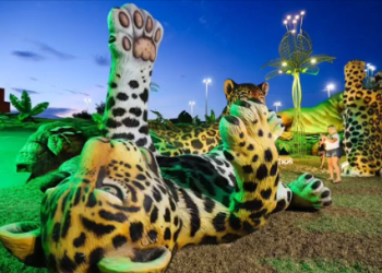 Parque Gigantes da Floresta conta com brinquedos acessíveis e exclusivos para PcDs e cadeirantes