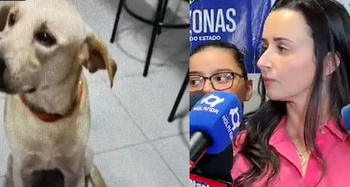 SER HUMANO RUIM – Polícia prende homem que matou cachorro caramelo em Manaus