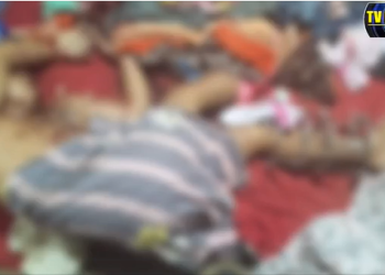 Matadores invadem casa e executam vítima na cama em Manacapuru