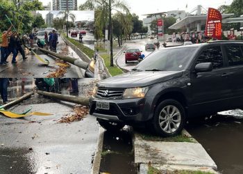 Uma mulher de 45 anos, perdeu o controle do carro que dirigia, subiu no canteiro central e derrubou um. Vídeos: