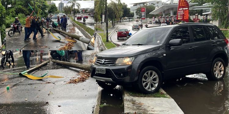 Uma mulher de 45 anos, perdeu o controle do carro que dirigia, subiu no canteiro central e derrubou um. Vídeos: