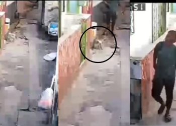 Uma cena cruel e de cortar o coração foi registrada por câmeras de vigilância e divulgada nas redes. Por maldade