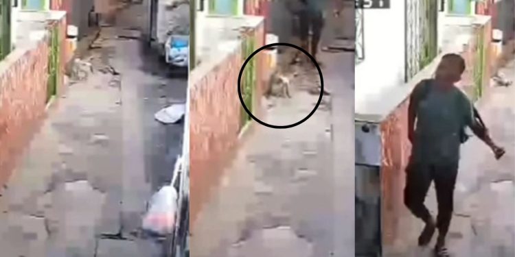 Uma cena cruel e de cortar o coração foi registrada por câmeras de vigilância e divulgada nas redes. Por maldade