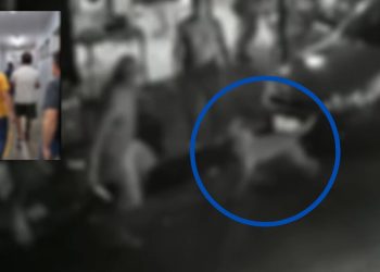 Alberto Luiz Amaral dos Santos, de 47 anos, foi preso por policiais da Delegacia Especializada em Crimes. Vídeo