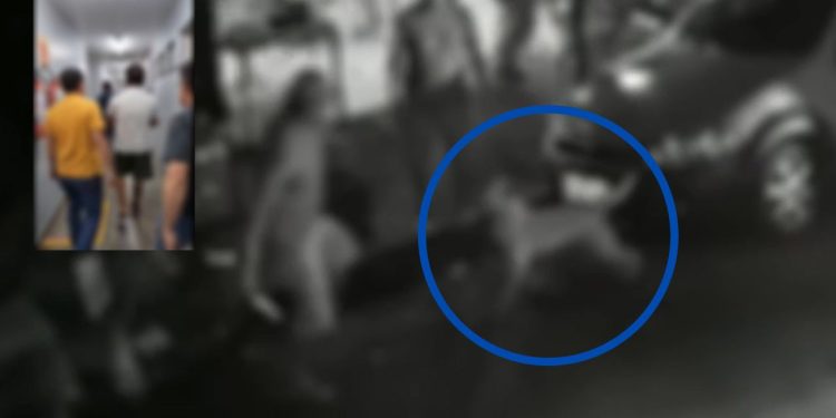 Alberto Luiz Amaral dos Santos, de 47 anos, foi preso por policiais da Delegacia Especializada em Crimes. Vídeo