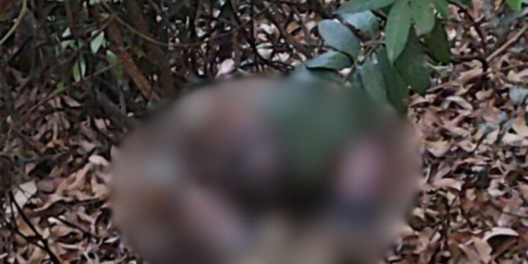 Um corpo do sexo masculino, sem cabeça, semi nu e com as mãos amarradas foi encontrado na manhã desta. Sem cabeça