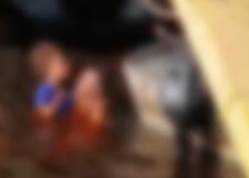 Casal é filmado fazendo sexo na balsa Amarela à luz do dia; veja o vídeo