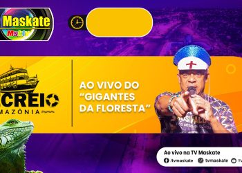 Gigantes da floresta no Recreio da Amazônia – 05.07.24