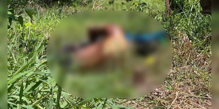 Corpo encontrado apodrecend0 no Santa Etelvina estava com mãos e pés amarrados