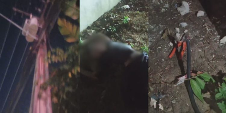 'Super Choque': Vídeo mostra ladrão de fios que caiu de poste após descarga elétrica no Tarumã