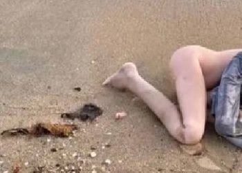 MACABRO: Mulher encontra corpo, chama a polícia e descobre que é boneca sexu4l
