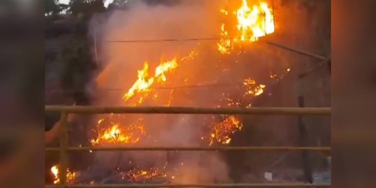 VÍDEO: Fogo destrói área de mata na Av. das Flores em Manaus