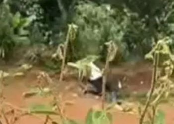 VEJA VÍDEO: Jack é flagrado estuprand0 amigo bêbado na estrada