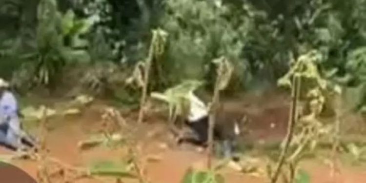 VEJA VÍDEO: Jack é flagrado estuprand0 amigo bêbado na estrada