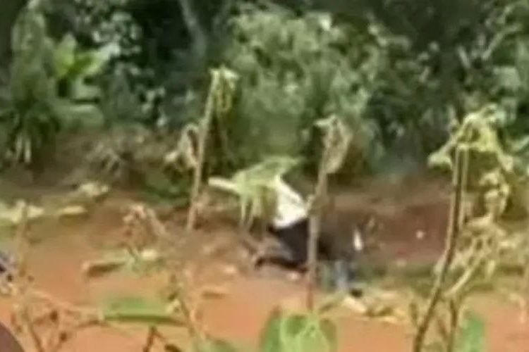 VEJA VÍDEO: Jack é flagrado estuprand0 amigo bêbado na estrada