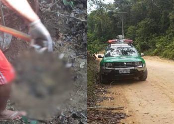 Idoso que estava desaparecido há 2 meses é encontrado enterrado em ramal no AM